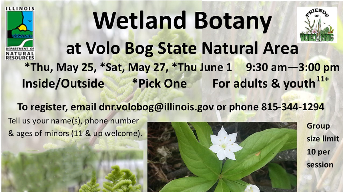 Wetland Botany at Volo Bog State Natural Area